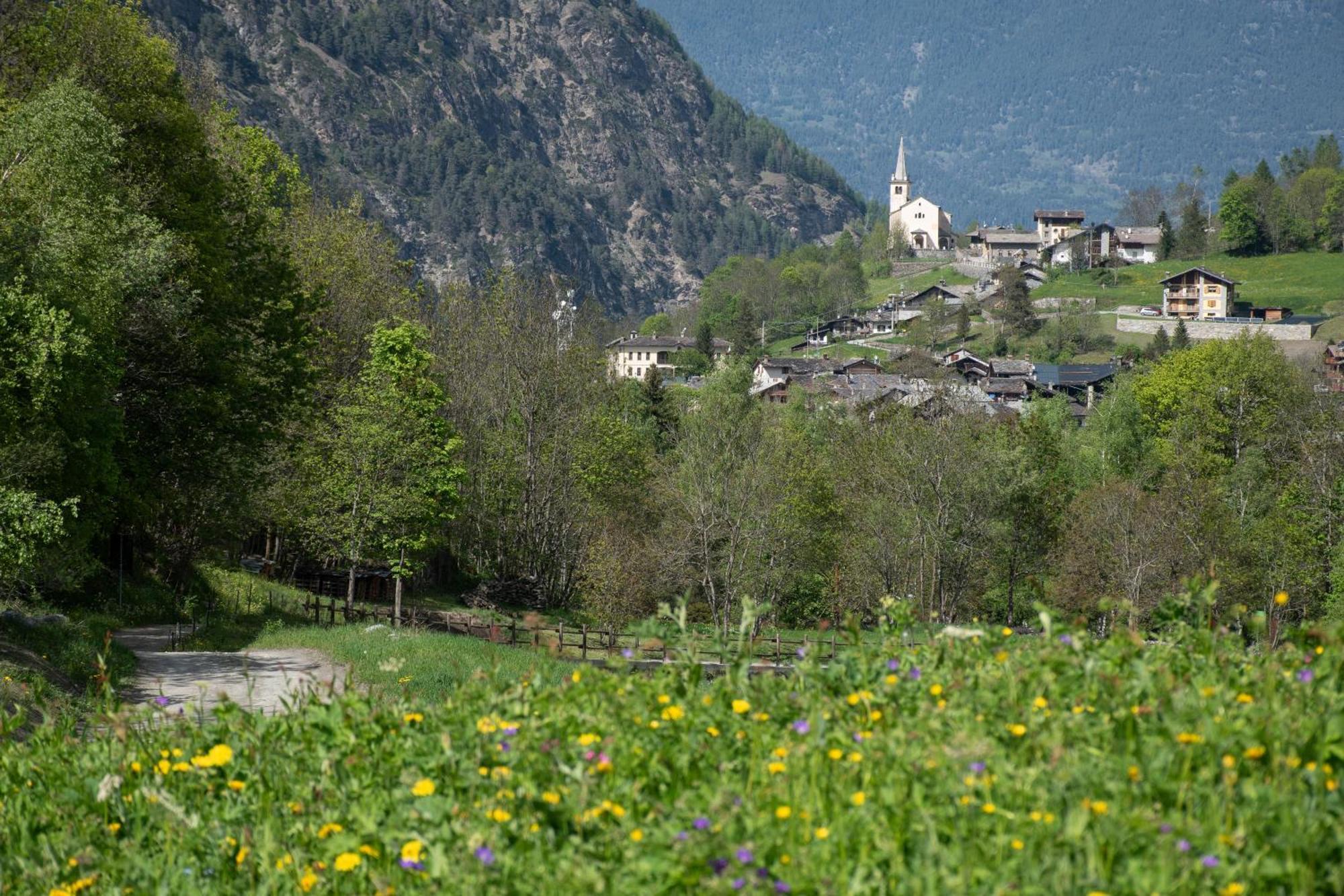 Case Gran Paradiso Rhemes Saint Georges Εξωτερικό φωτογραφία
